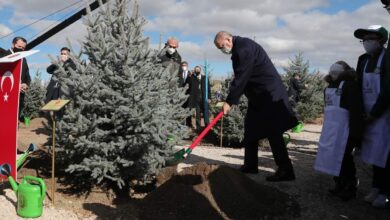 Photo of Turska je prva u Evropi i četvrta zemlja u svijetu u pošumljavanju