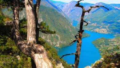 Photo of Veličanstvena životna područja Bosne i Hercegovine