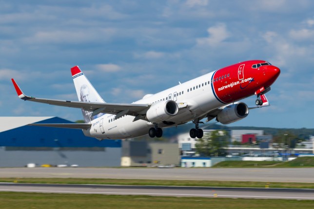 Norwegian Air to seek bankruptcy protection in Norway