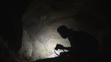 Photo of Najstarija pećinska slika na svijetu pronađena u Indoneziji