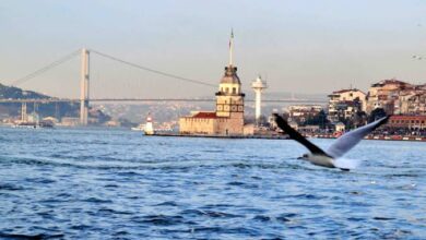 Photo of Ekipa iz BiH u Istanbulu: Grad koji poziva da mu se uvijek iznova vraćate