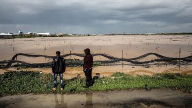 Photo of Gaza: Otvaranjem brana Izrael poplavio palestinska polja i nanio štetu od 1,5 miliona dolara