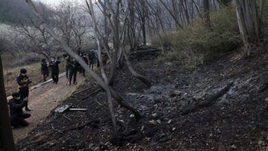 Photo of Japan u plamenu: 106 hektara izgorjelo je do temelja