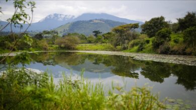 Photo of Promocija ekološkog i kulturnog turizma na granici Kolumbije i Venecuele                                                                                              Promocija ekološkog i kulturnog turizma na granici Kolumbije i Venecuele