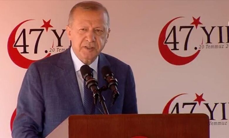 Erdogan: EU je trebala pružiti finansijsku pomoć Sjevernom Kipru, to nije učinila. Njihovi životi su postavljeni na laži