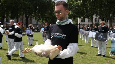 Photo of Protest aktivista za zaštitu životinja u Londonu: Prestanite sa ubijanjem životinja