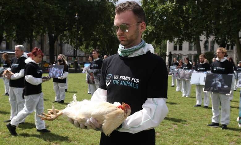 Protest aktivista za zaštitu životinja u Londonu: Prestanite sa ubijanjem životinja