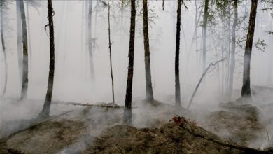 Photo of U požarima u Alžiru stradalo 25 vojnika spašavajući više od 100 građana