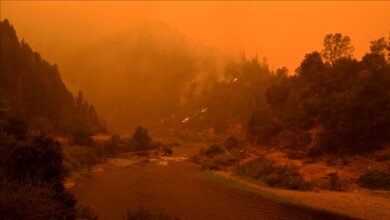 Photo of U Californiji izbio požar, gust dim iznad Nacionalne šume Shasta-Trinity