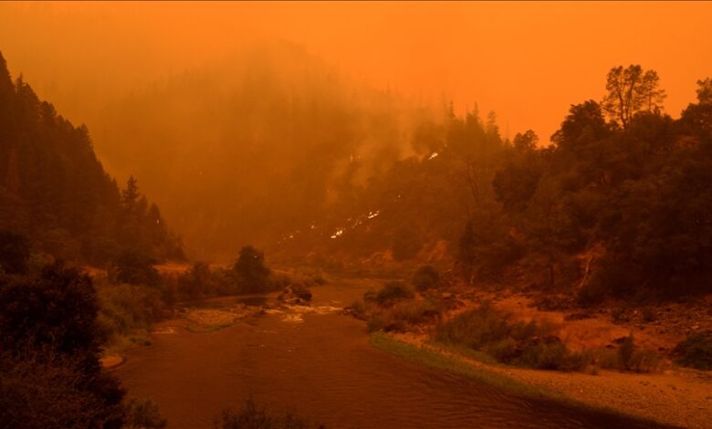 U Californiji izbio požar, gust dim iznad Nacionalne šume Shasta-Trinity