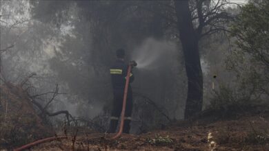 Photo of I dalje aktivni šumski požari u Grčkoj