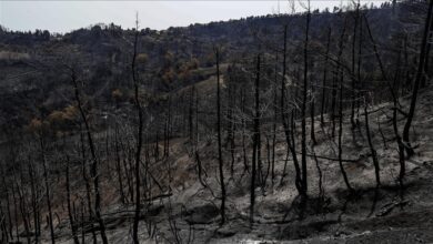 Photo of Vatrogasci uz pomoć kiše pod kontrolu stavili veliki požar na jugu Španije