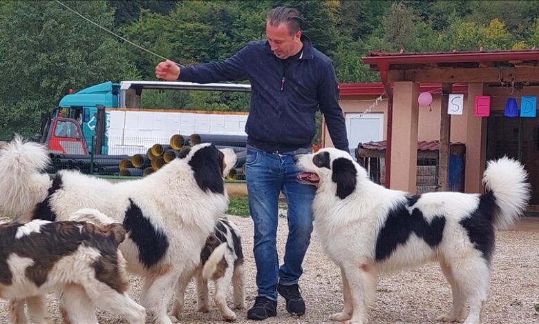 Najljepši tornjak na svijetu stigao kući u Bužim