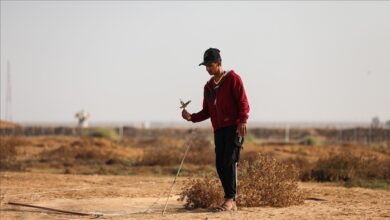 Photo of Pojas Gaze: Palestinci preživljavaju hvatajući ptice 
 Pojas Gaze: Palestinci preživljavaju hvatajući ptice