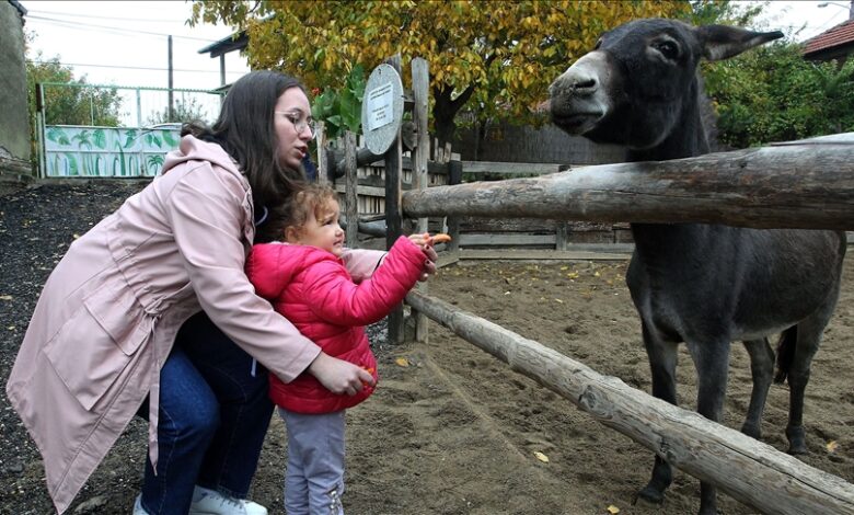 U „Zoo planetu“ zbrinjavaju napuštene životinje i edukuju o ugroženim vrstama