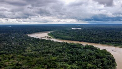 Photo of Krčenje amazonske prašume na najvišem nivou u posljednjih 15 godina