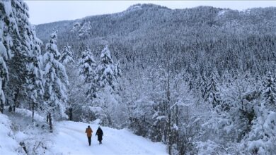 Photo of Zaštititi prirodna blaga i razmisliti o održivom planinskom turizmu