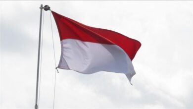 Photo of Novi glavni grad Indonezije nosit će ime “Nusantara”