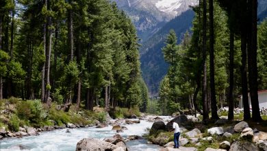 Photo of Pakistan: Živopisna dolina Swat gubi šumski pokrivač zbog podmetnutih požara