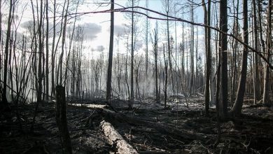 Photo of Hiljade ljudi evakuisano zbog požara u Kanadi