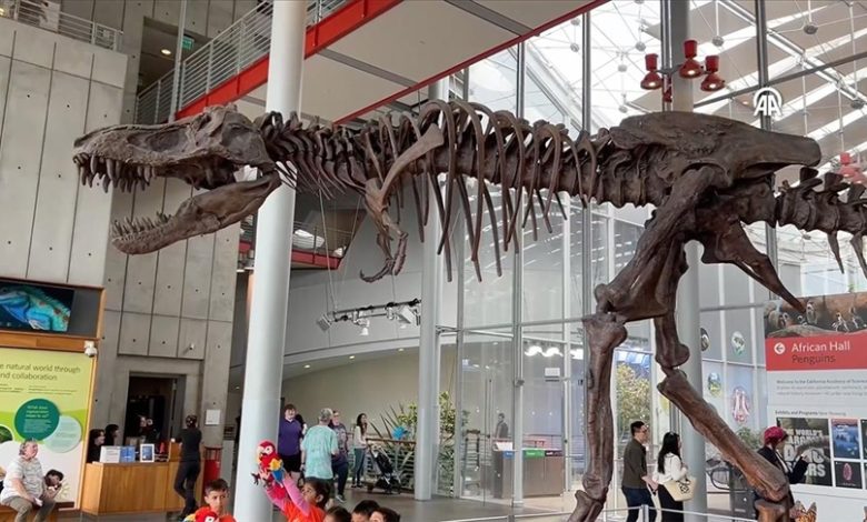 Kalifornijska akademija nauka: Izložba dinosaura u prirodnoj veličini