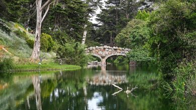 Photo of San Francisko: Stow je najveće jezero Parka Golden Gate