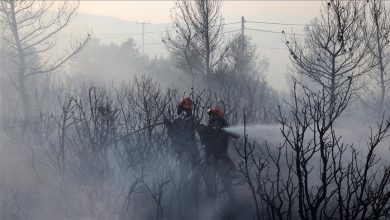 Photo of U posljednjih deset godina u svijetu izgorjelo oko 82 miliona hektara šuma