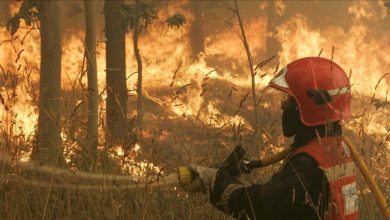 Photo of Španija: Usporeno napredovanje požara na La Palmi 
 Španija: Usporeno napredovanje požara na La Palmi