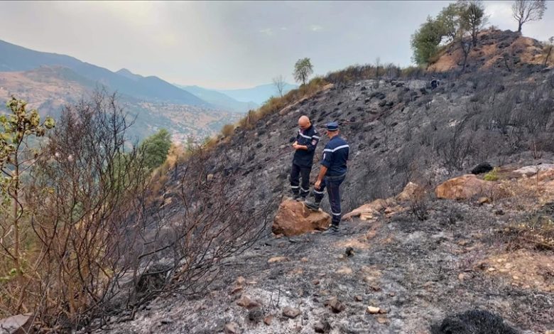 Alžir: Šumski požari odnijeli 15 života, temperature zraka do 50 stepeni