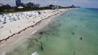 Photo of Temperatura vode u okeanu iznad 38 stepeni kod obala Floride