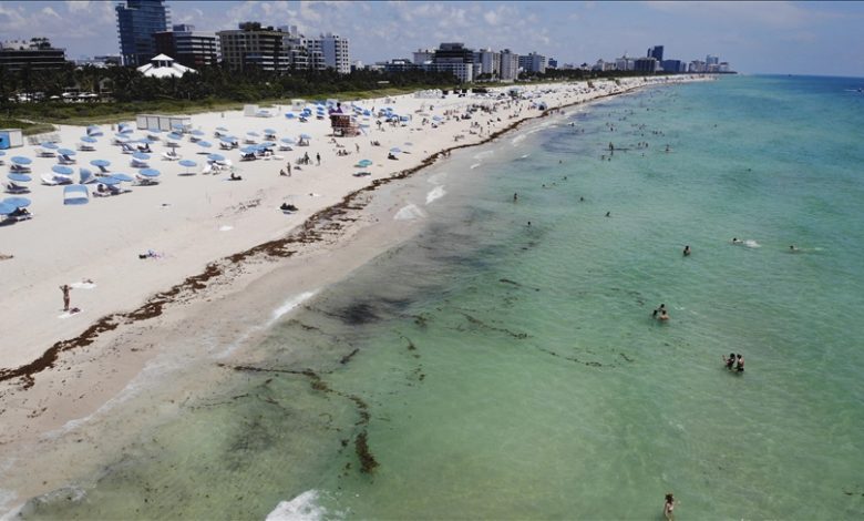 Temperatura vode u okeanu iznad 38 stepeni kod obala Floride