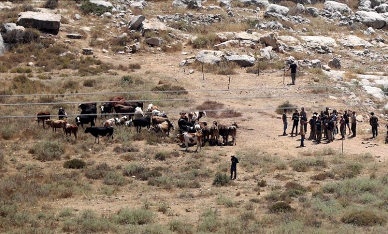 Jevrejska naselja na Zapadnoj obali čine život palestinskim poljoprivrednicima nepodnošljivim