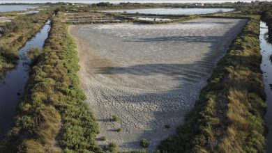 Photo of Francuskoj prijeti suša dok toplotni talas pogađa Evropu