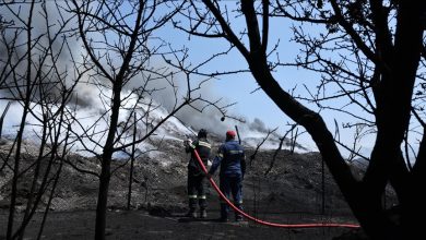 Photo of Grčka: Veliki dio šumskog požara na ostrvu Chios pod kontrolom