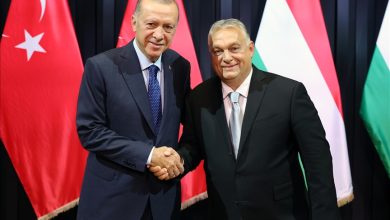 Photo of Erdogan i Orban razgovarali u Budimpešti o bilateralnim odnosima