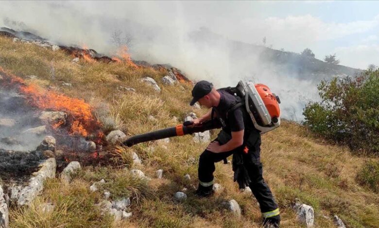 Angažovani svi kapaciteti MUP-a zbog požara širom Srbije