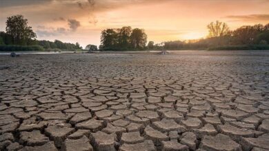 Photo of Oštre klimatske promjene zahvatit će 118 miliona ljudi u Africi do 2030. godine