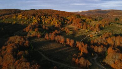 Photo of U BiH danas sunčano vrijeme 
 U BiH danas sunčano vrijeme