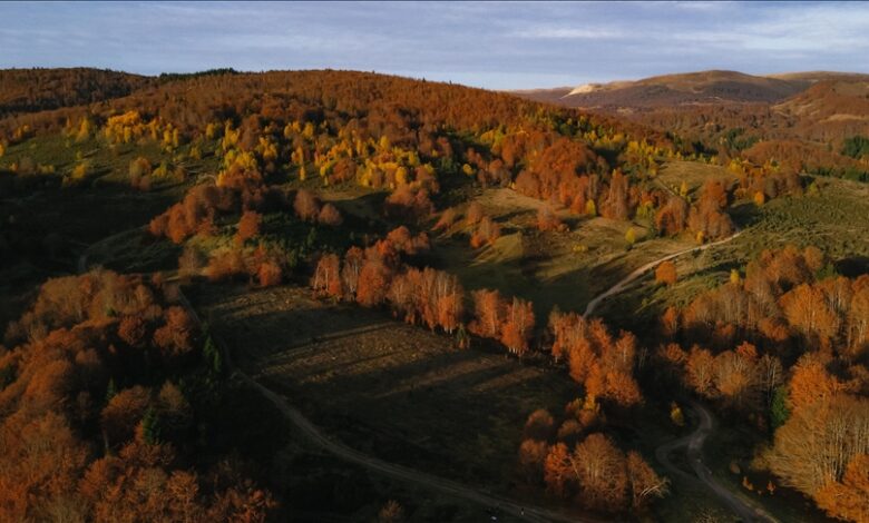 U BiH danas sunčano vrijeme 
 U BiH danas sunčano vrijeme